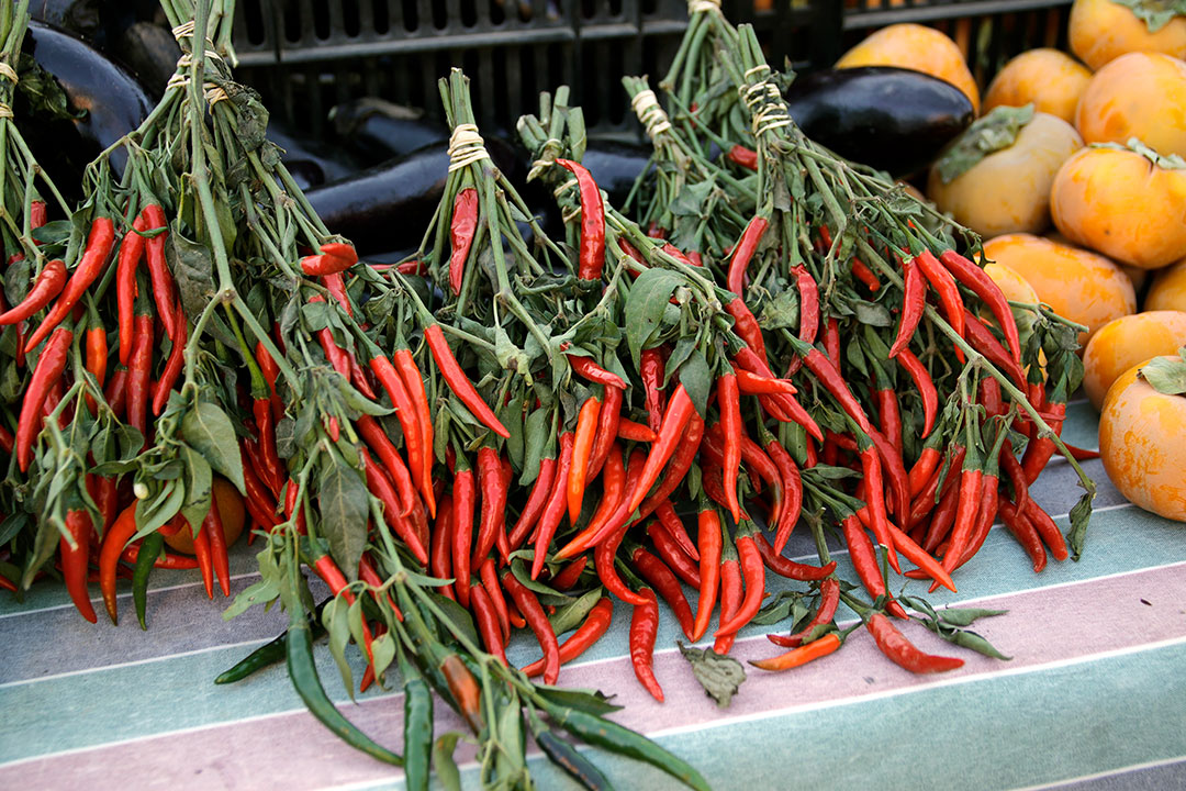 Bundles of fresh serano peppers piled at a booth during the Saturday morning
Madonna Famers market. Madonna Farmers Market 10/12/19