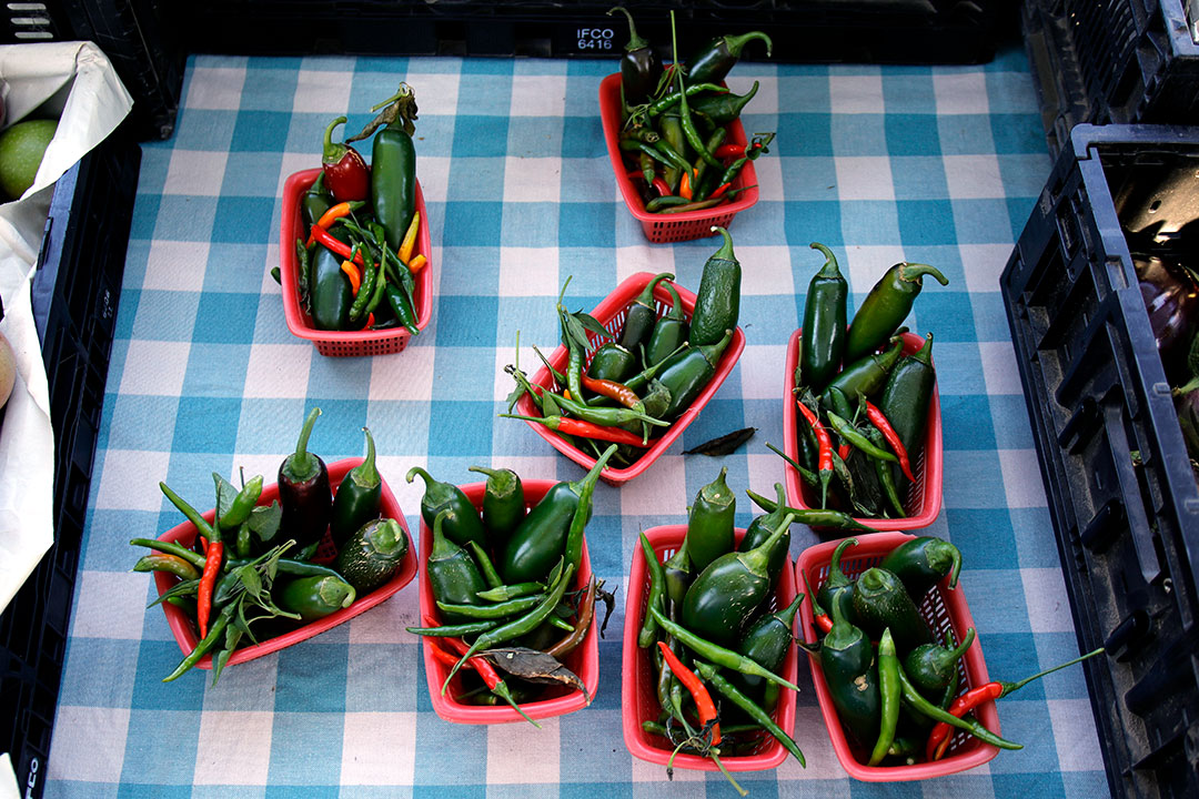 Mixed tubs of fresh picked peppers are pre-packed by the Chavez Family Farms
before every market. Madonna Farmers Market 10/12/19